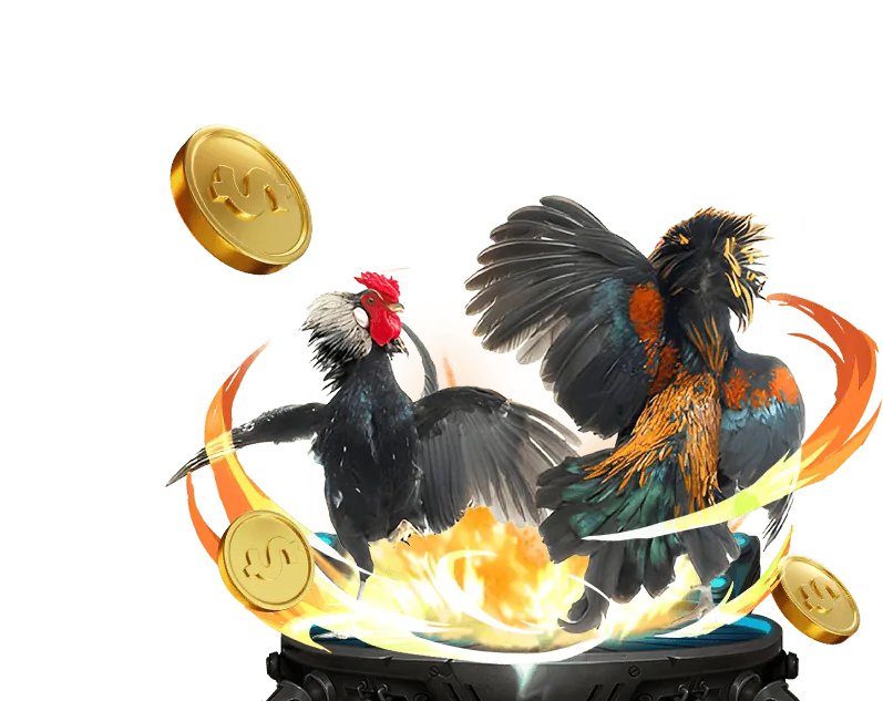 Đội ngũ 98win 58